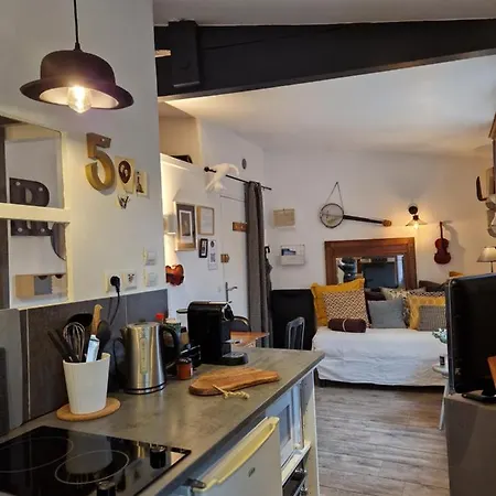 Apartment Albin Le Musicien *