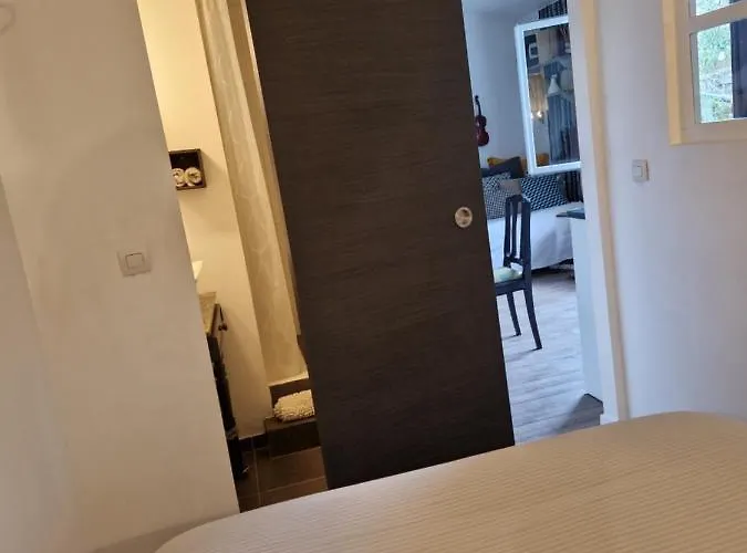 Albin Le Musicien * Talence