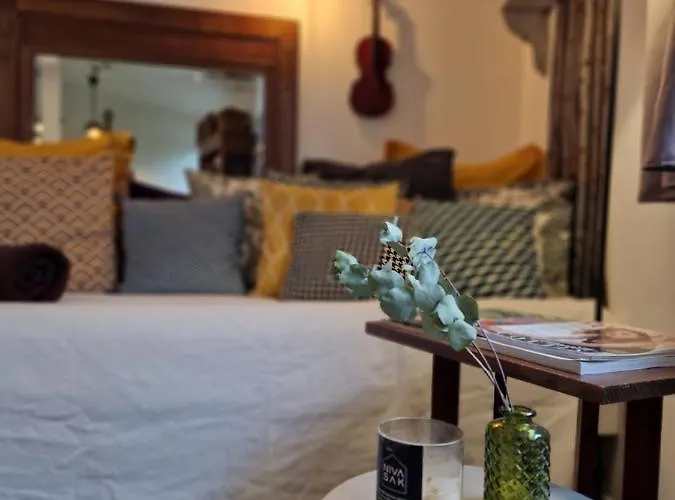 Albin Le Musicien Lejlighed *